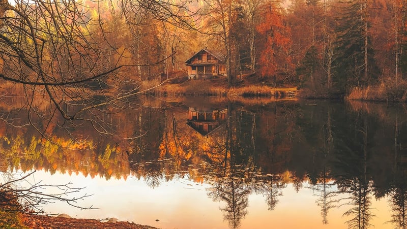 Remote Cabin in the Woods